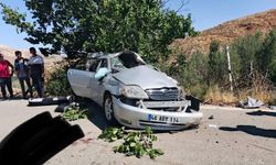 Kahramanmaraş Nurhak'ta Ehliyetsiz Sürücü Ağaca Çarptı: 1'i Ağır 3 Yaralı