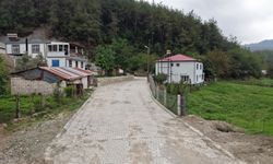 Kahramanmaraş Andırına 10 Bin Metrekare Kilit Parke Desteği
