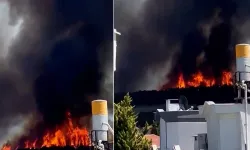 Çanakkale'de Orman Yangını! Alevler Hızla İlerliyor