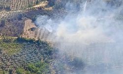 Kahramanmaraş'ta Ziraat Yangını Kontrol Altına Alındı