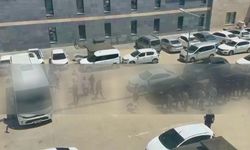 Kahramanmaraş Merkezli 10 İlde Sahte Altın Operasyonu: 69 Şüpheli Yakalandı