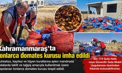 Kahramanmaraş'ta ruhsatsız mandırada tonlarca domates kurusu imha edildi