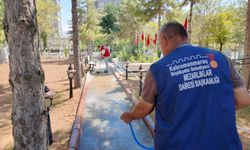 Büyükşehir'den Elbistan'daki Mezarlıklara Titiz Bakım