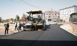 Büyükşehir, Ballıca’nın yollarını sıcak asfaltla yeniliyor