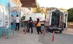 Kahramanmaraş’ta ceviz ağacından düşen kişi ağır yaralandı