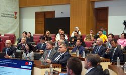 Kahramanmaraş’ın çevreci projeleri Japonya’nın gündeminde