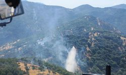 Kahramanmaraş’ta aynı gün iki orman yangını çıktı