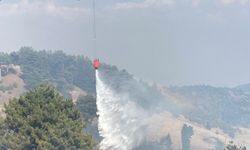 Kahramanmaraş’ta orman yangını çıktı: Ekipler seferber oldu
