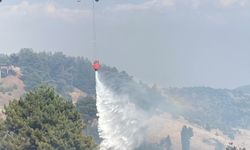 Kahramanmaraş'ta orman yangını çıktı