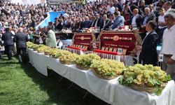 Bertiz Boyalı Güreş Festivali 30. kez düzenleniyor