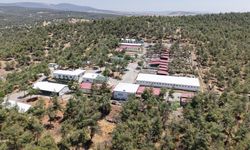 Kahramanmaraş’ta 5 bin can dosta güvenli yaşam alanı