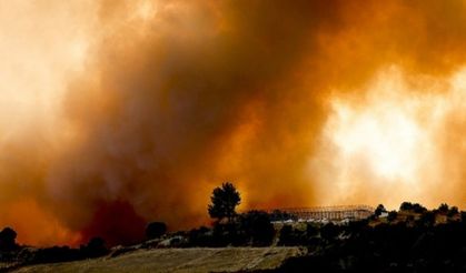 Orman Yangınları Karbondioksit Emisyonunu Artırıyor
