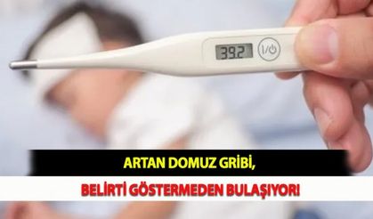 Artan Domuz Gribi, Belirti Göstermeden Bulaşıyor!