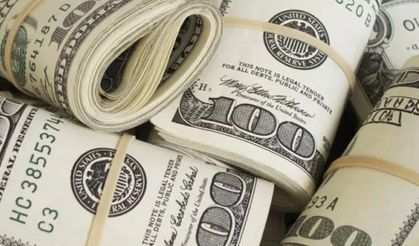 Dolar Bugünkü Yükselişiyle Rekor Kırdı!