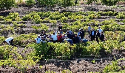 Fırat Görgel: Şehrimizin Dünyaya Tanıtılması Açısından Önemli