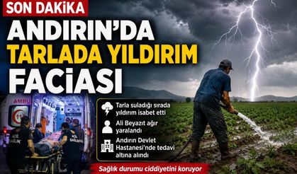 Kahramanmaraş'ta Tarlada Yıldırım İsabet Etti: 1 Kişi Ağır Yaralandı
