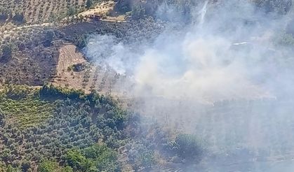 Kahramanmaraş'ta Ziraat Yangını Kontrol Altına Alındı