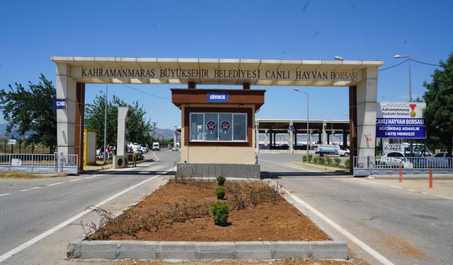 Kahramanmaraş Hayvan Borsası’nda Hazırlıklar Tamamlandı