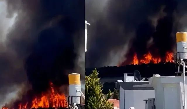 Çanakkale'de Orman Yangını! Alevler Hızla İlerliyor