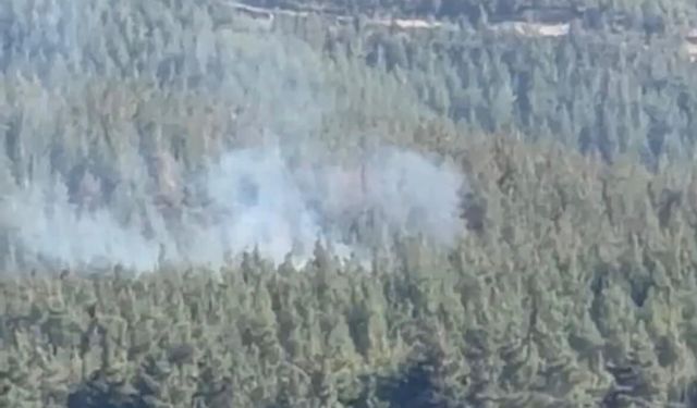 Gaziantep'te orman yangını kontrol altına alındı