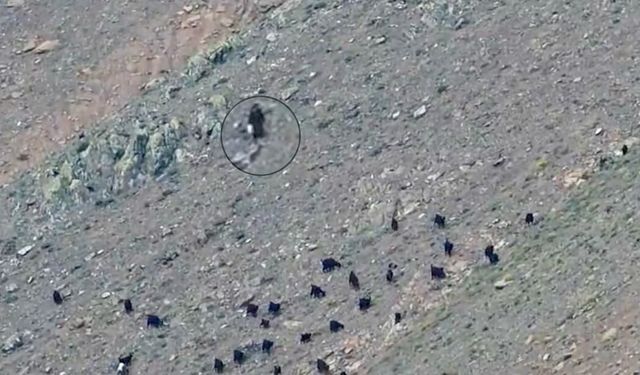 Kahramanmaraş'ta Berit Dağı'nda mahsur kalan kadın kurtarıldı