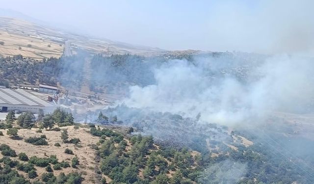 Kahramanmaraş'ta orman yangını kontrol altına alındı