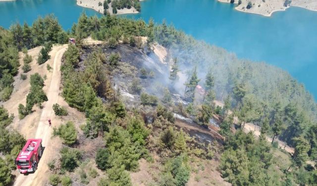 Kahramanmaraş'ta orman yangını