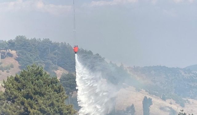 Kahramanmaraş’ta orman yangını çıktı: Ekipler seferber oldu