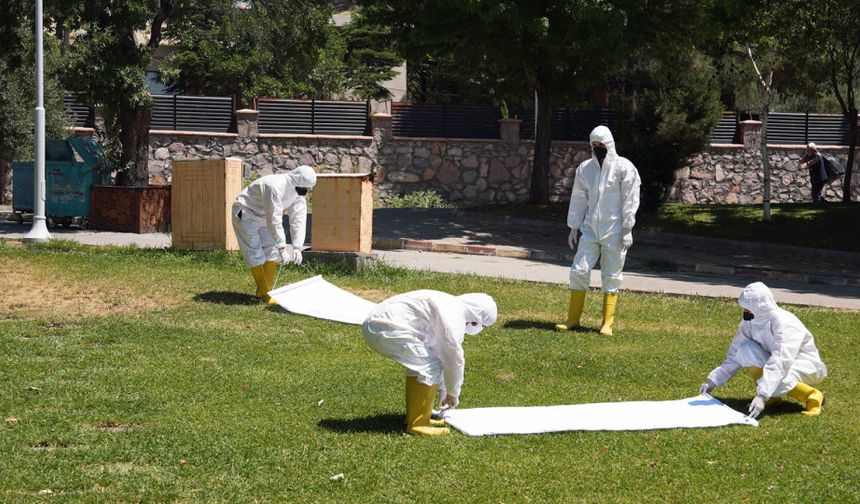 Kahramanmaraş’ta Kene Tehditine Karşı Ekipler Sahada