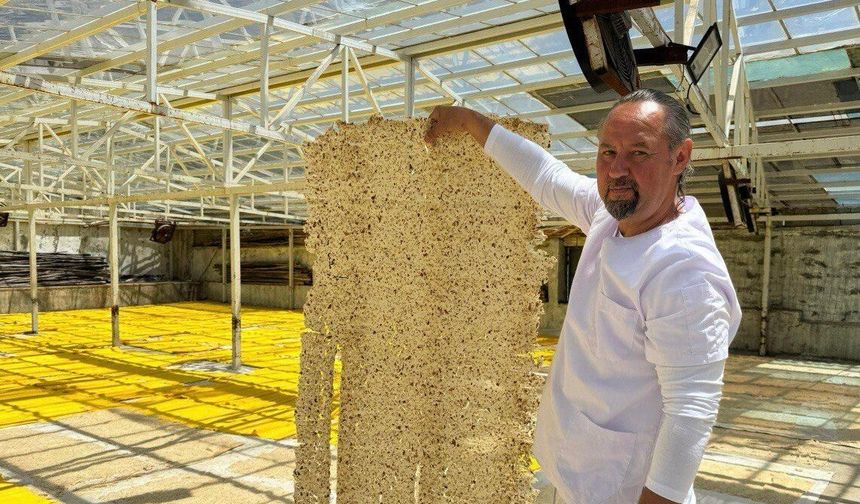Maraş Tarhanasında Bereket Sezonu: Üretim 10 Bin Tona Ulaştı