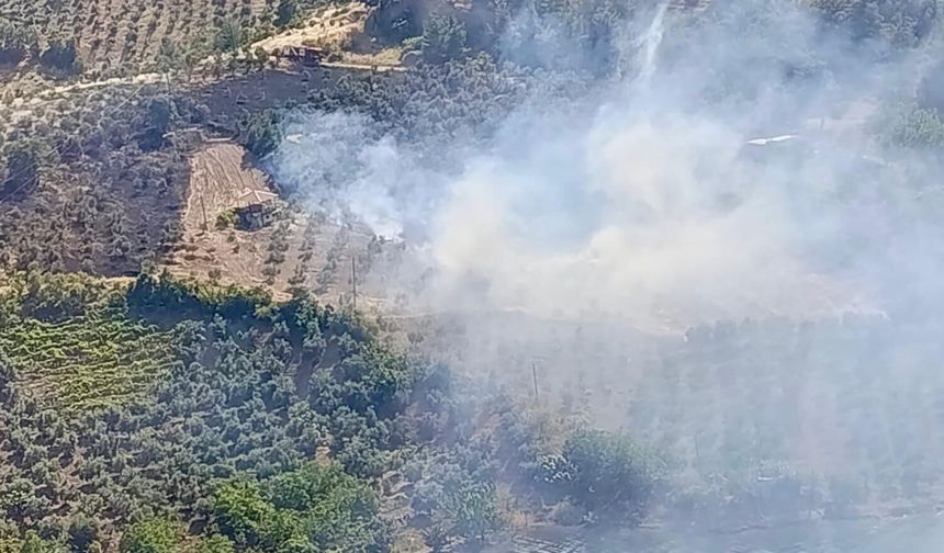 Kahramanmaraş'ta Ziraat Yangını Kontrol Altına Alındı