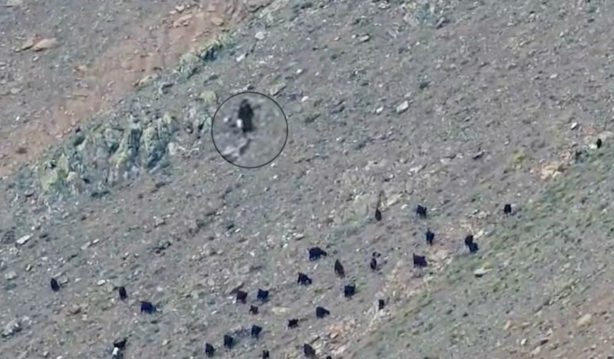 Kahramanmaraş'ta Berit Dağı'nda mahsur kalan kadın kurtarıldı