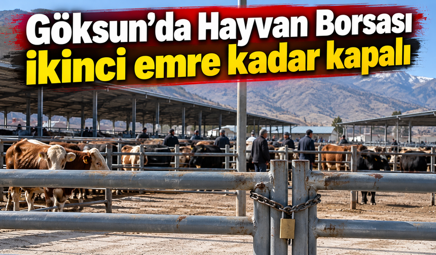 Göksun’da hayvan borsası şap hastalığı nedeniyle kapatıldı