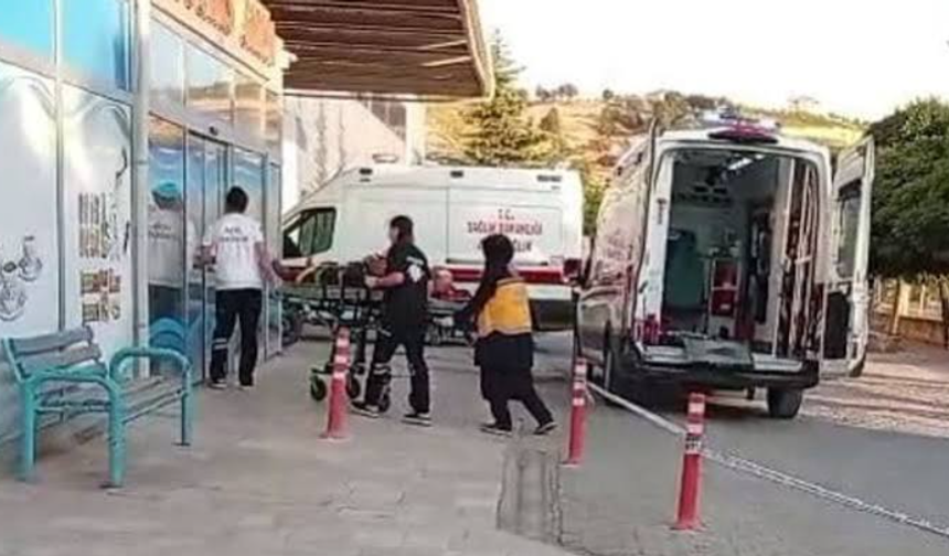 Kahramanmaraş’ta ceviz ağacından düşen kişi ağır yaralandı