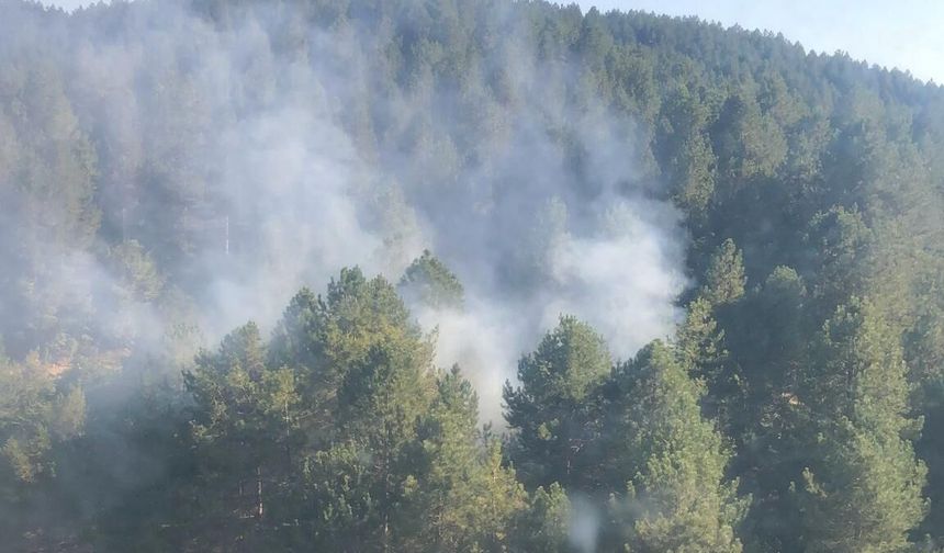 Kahramanmaraş’ta aynı gün iki orman yangını çıktı