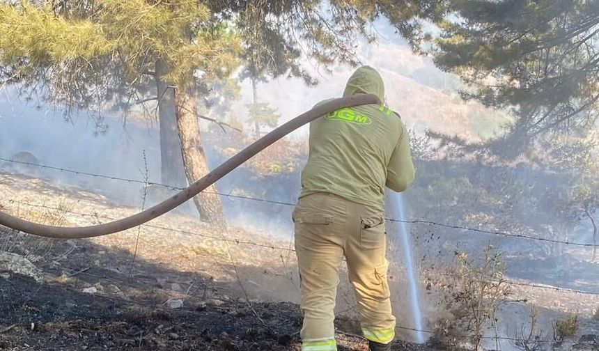 Kahramanmaraş’ta orman yangını çıktı: Ekipler seferber oldu