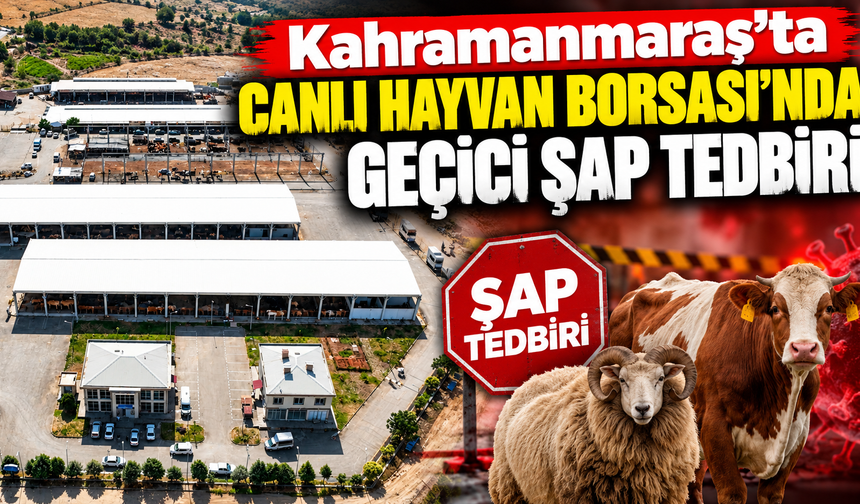 Kahramanmaraş’ta Canlı Hayvan Borsası kapatıldı