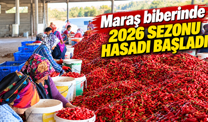 Kahramanmaraş’ta Maraş biberi için hasat zamanı