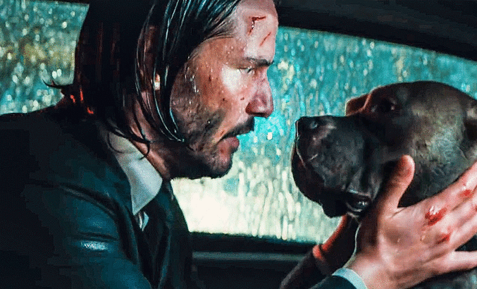 John Wick Film Konusu Nedir? John Wick Oyuncuları Kimlerdir?