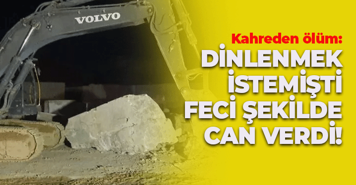 Dinlenmek İstemişti Sonu Kötü Bitti: Cesedi Paramparça Oldu