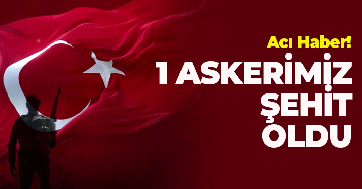 MSB Acı Haberi Duyurdu: 1 Asker Şehit Oldu
