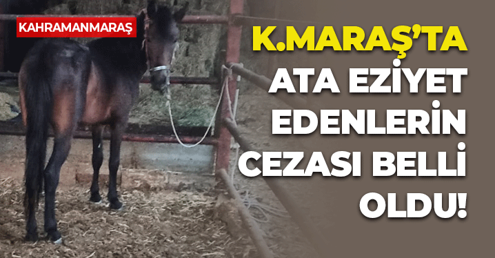 Kahramanmaraş'ta Ata Eziyet Edenlerin Cezası Belli Oldu