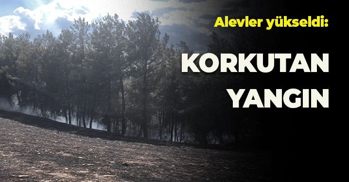 Adana Kozan'da Korkutan Yangın: Alevler Yükseldi