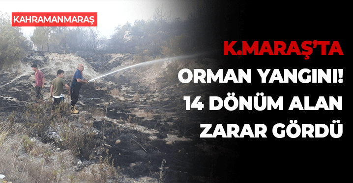 Kahramanmaraş'ta Orman Yangını: 14 Dönüm Alan Yandı