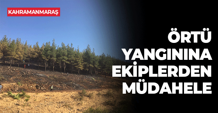 Kahramanmaraş'ta Örtü Yangını: Ekipler Seferber Oldu