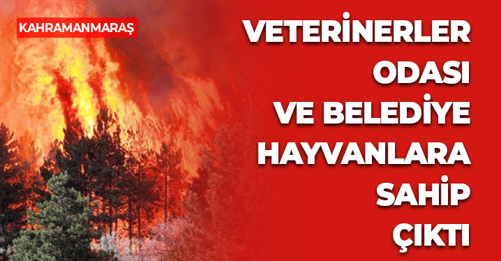 Kahramanmaraş'tan Yangında Zarar Gören Hayvanlara Yardım