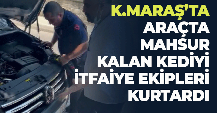 Kahramanmaraş'ta Araçta Mahsur Kalan Kediyi İtfaiye Kurtardı