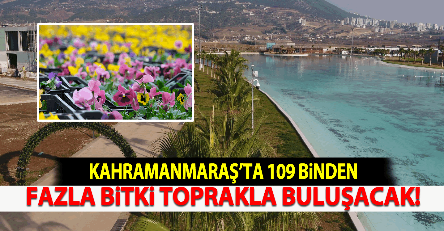 Kahramanmaraş'ta 109 binden fazla bitki toprakla buluşacak!