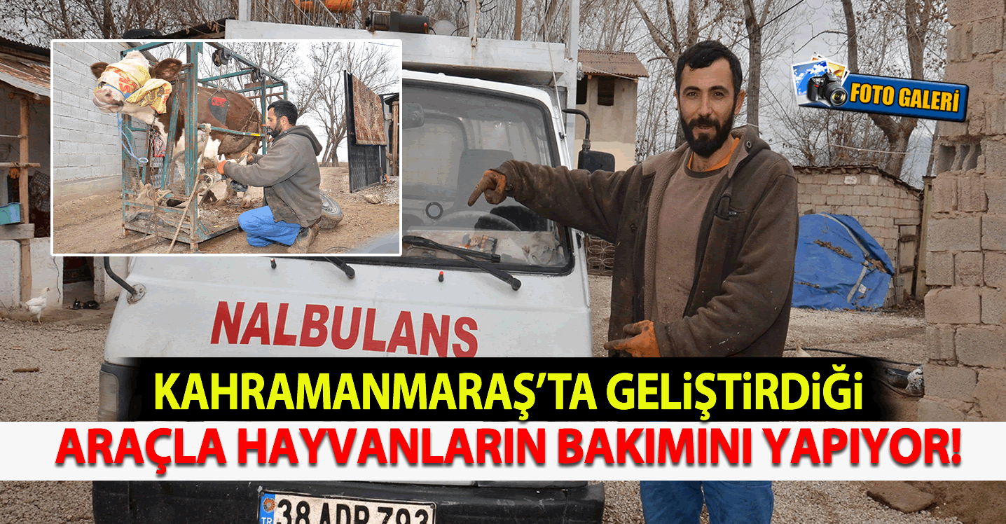 Kahramanmaraş'ta geliştirdiği araçla hayvanların bakımını yapıyor!